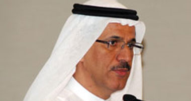 وزير الاقتصاد الإماراتى: مشروع قناة السويس متميز 