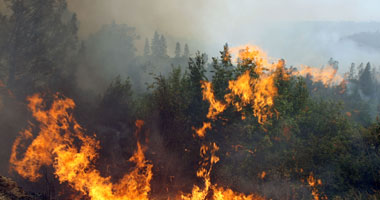 فرق الإطفاء الأسترالية تحاول إخماد حرائق الغابات جنوب البلاد 